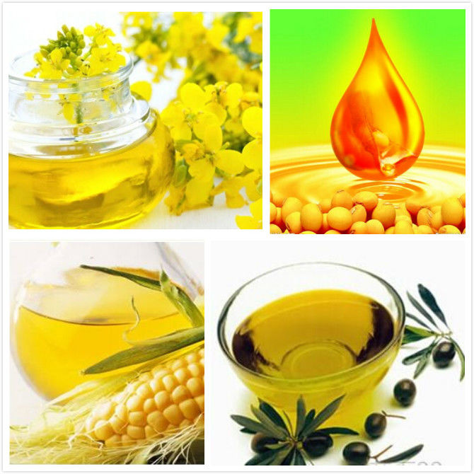 Тип фильтр плиты высокой эффективности НИБ закрытый лист давления жидкостной машины фильтра для масла вертикальный